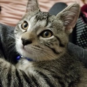 Meet your Posher, Mary